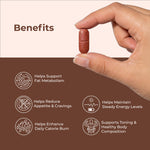 Fat Burner Tablets with Garcinia & Green Tea for Metabolism Support | 30 Tablets | OYB Calorie Crush