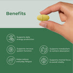 Vitamin B-Complex | 30 Tablets | OYB B Complete