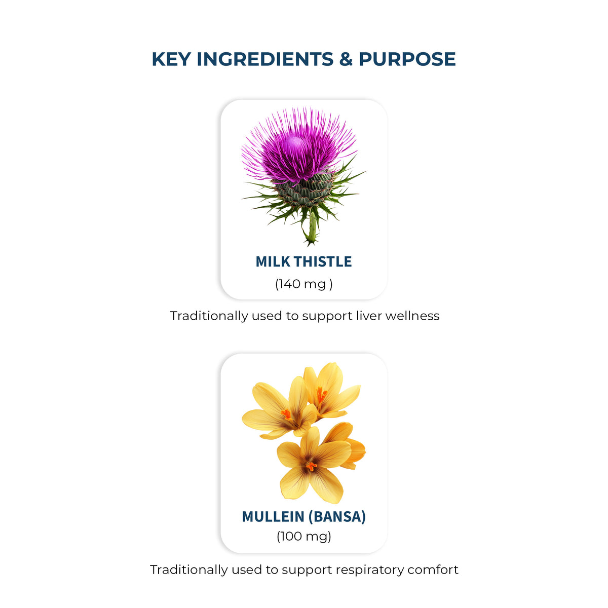 OYB Lung & Liver Dual Detox with Milk Thistle & Mullein | 30 Tablets | OYB Lung & Liver Dual Detox