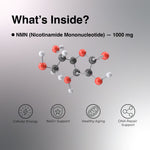 OYB NMN Anti-Aging Tablets with Nicotinamide Mononucleotide for NAD+ Boost | 30 Tablets | OYB NMN