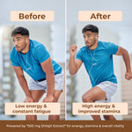 Shilajit 500 mg | 30 Tablets | OYB Power Peak