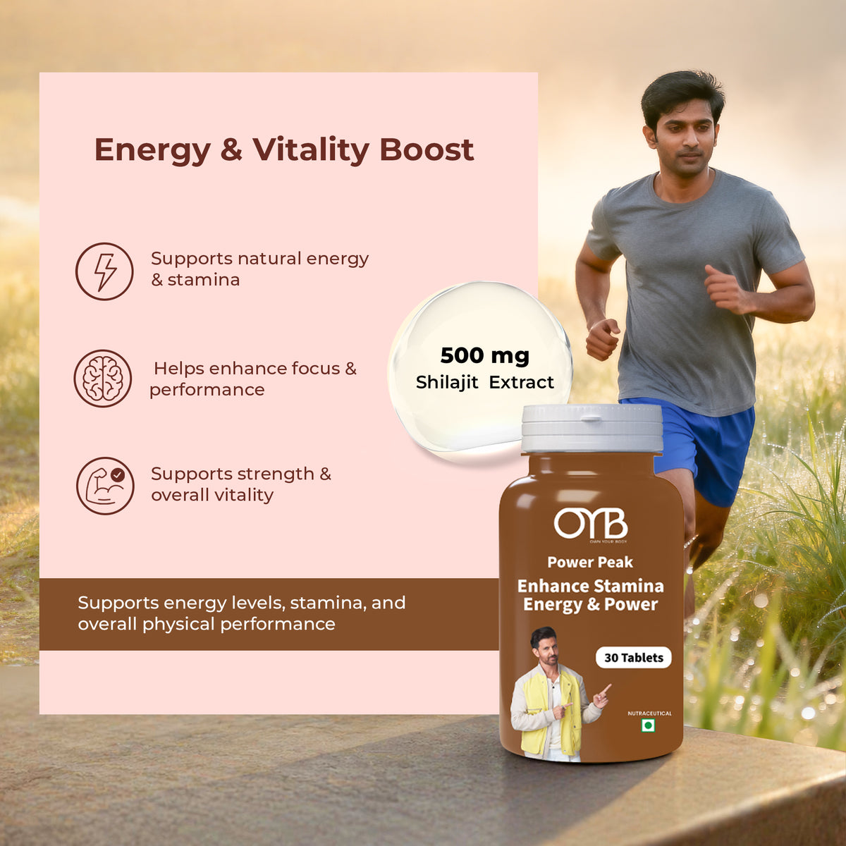 Shilajit 500 mg | 30 Tablets | OYB Power Peak