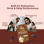 Shilajit 500 mg | 30 Tablets | OYB Power Peak