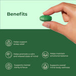 Stress Relief with Ashwagandha + Brahmi | 30 Tablets | OYB Brain Ease