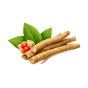  Ashwagandha Root Extract