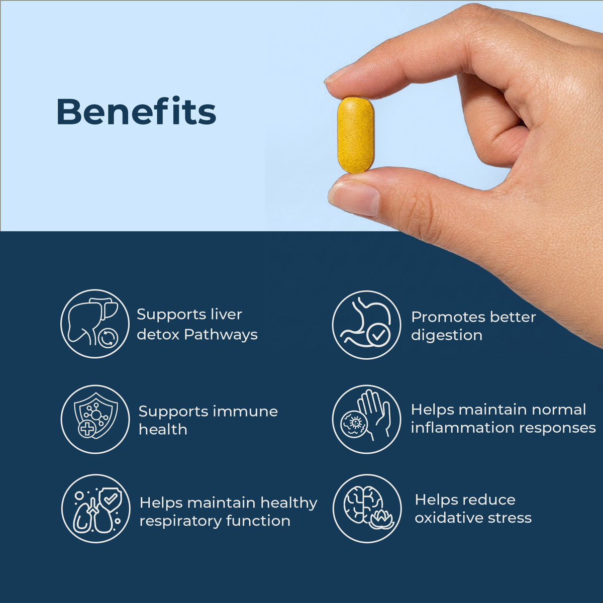 Milk Thistle & Mullein | Liver Detox + Lung Support | 30 Tablets | OYB