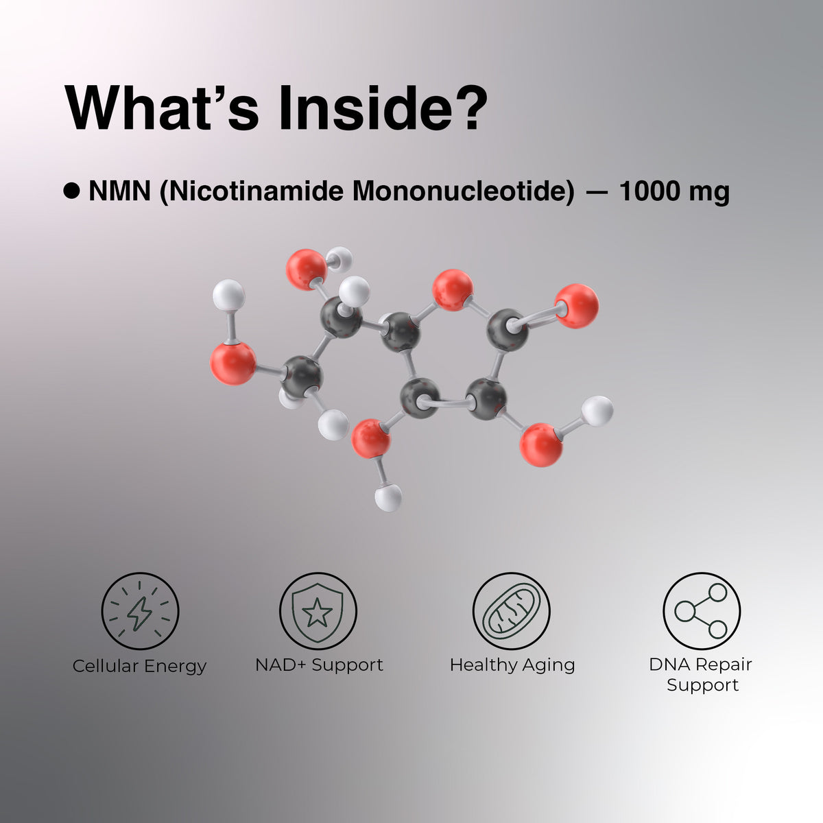 OYB NMN Anti-Aging Tablets with Nicotinamide Mononucleotide for NAD+ Boost | 30 Tablets | OYB NMN