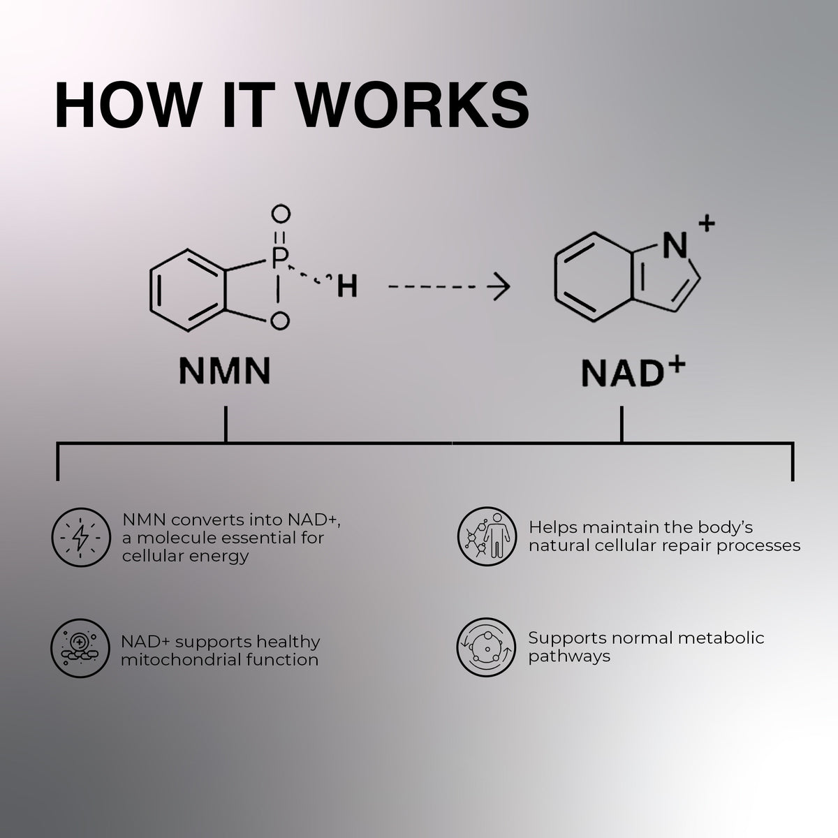 OYB NMN Anti-Aging Tablets with Nicotinamide Mononucleotide for NAD+ Boost | 30 Tablets | OYB NMN