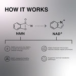 OYB NMN Anti-Aging Tablets with Nicotinamide Mononucleotide for NAD+ Boost | 30 Tablets | OYB NMN