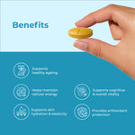 CoQ10 + Resveratrol + Curcumin | 30 Tablets | OYB Time Machine